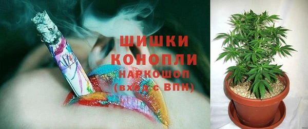 шишки Алзамай