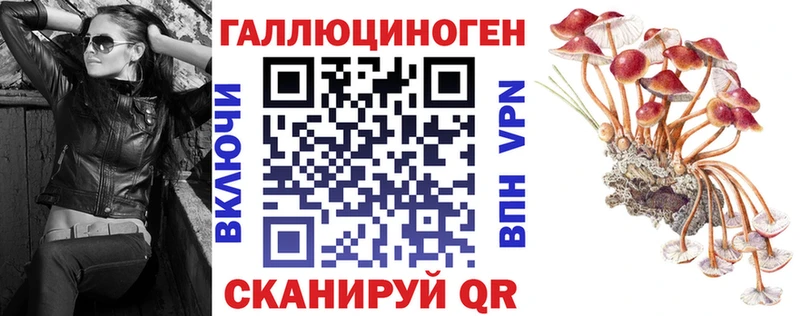 Псилоцибиновые грибы Psilocybine cubensis  Бикин 